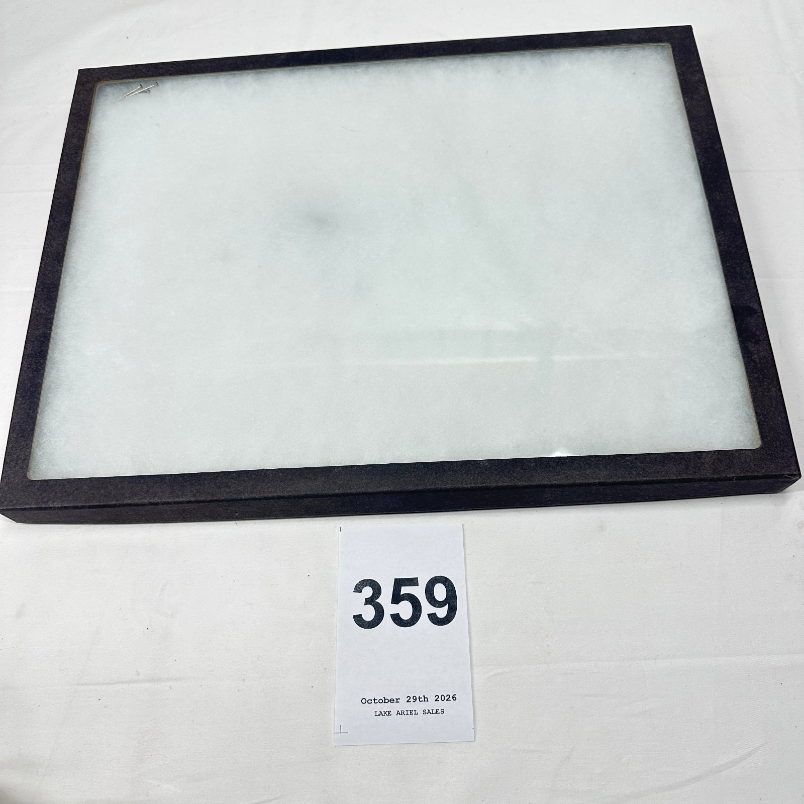 Lot 359: Glass-top display case with felt lining, approx. 18 x 14 in.