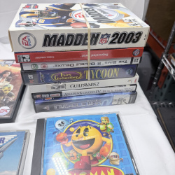 Lot 157: Assorted PC Video Game Collection 25+ Titles Madden 2003 Pac-Man Guild Wars 2