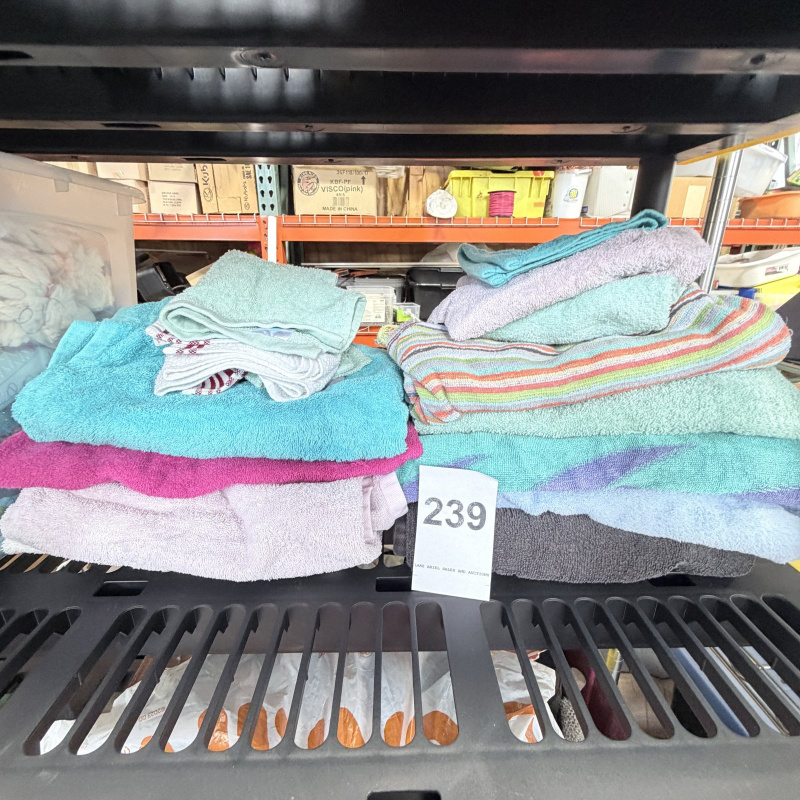 Lot 239: Assorted Bath Towels and Washcloths - Multi-Color Lot of Linens