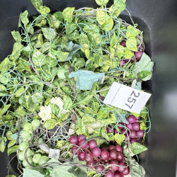 Lot 257: Artificial Grape Vine with lights