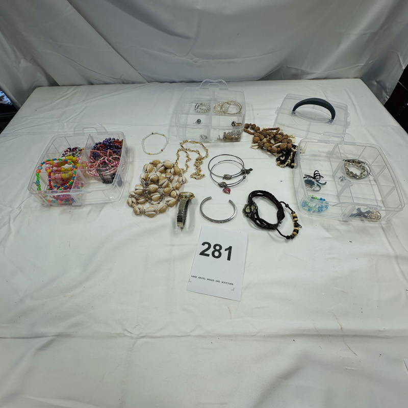 Lot 281: Clear Plastic Jewelry Organizer with Assorted Costume Jewelry Beads Necklaces