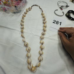Lot 281: Clear Plastic Jewelry Organizer with Assorted Costume Jewelry Beads Necklaces