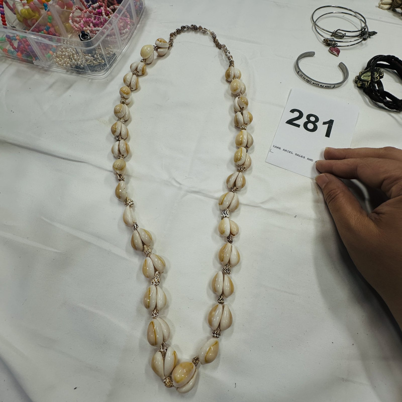 Lot 281: Clear Plastic Jewelry Organizer with Assorted Costume Jewelry Beads Necklaces