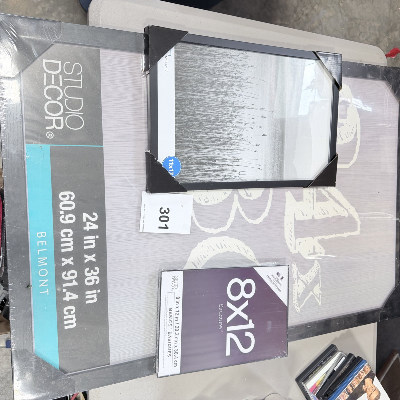 Lot 301: 3 Picture Frames 24"x36"  60.9cm x 91.4cm with 8x12 