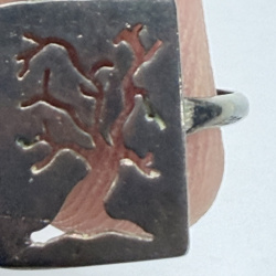 Lot 362: Sterling Silver Ring with Lion Rampant Crest Design, Size 1.55g, #362
