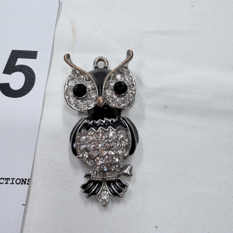 Lot 365: Owl Pendant/Charm with Black Enamel and Clear Rhinestones Silver-Tone Metal