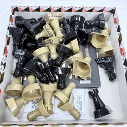 Lot 463: FAO Schwarz "Chess Teacher" learn-to-play chess set, complete pieces with instructional bases, 2-player