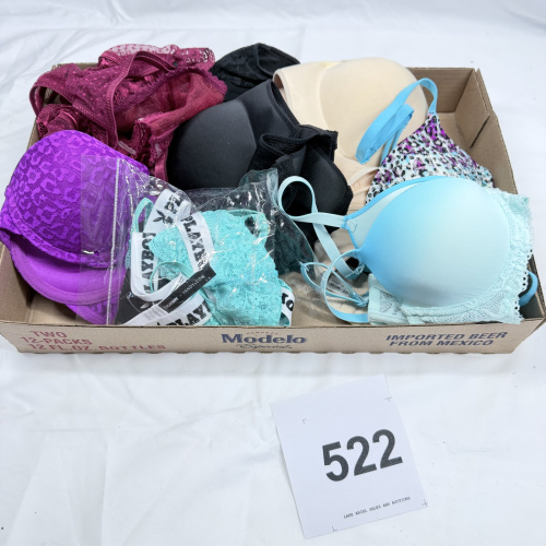 Lot 522: Assorted women's bras lot, No Boundaries & Playboy x Yandy brands, mixed sizes 32B-34C, padded/lace styles