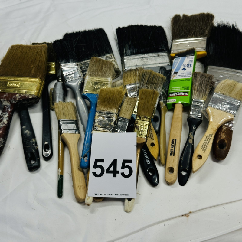 Lot 545: Assorted paint brushes lot, including Shur-Line, natural bristle, and chip brushes, various sizes